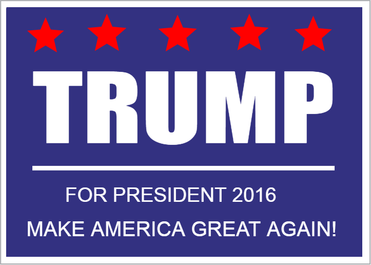 DELIVERY SIGNS, INC. Political Signs & Campaign Signs to win the